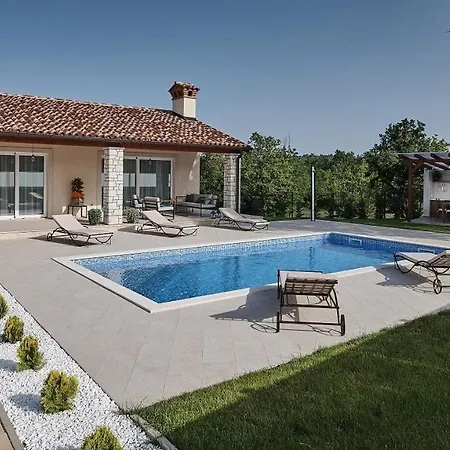 Celtis By 4*