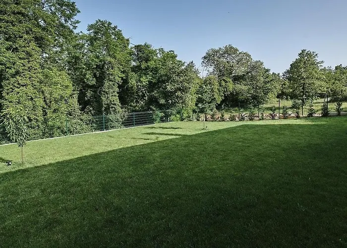 Celtis By 4*