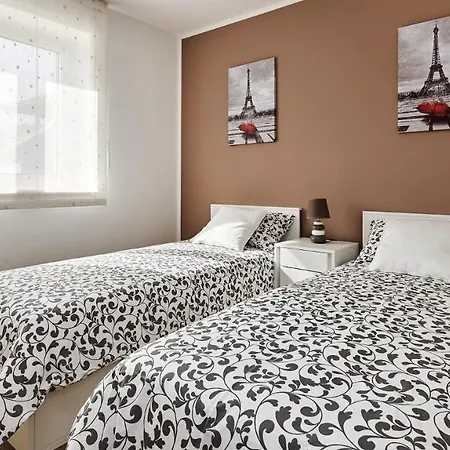 Celtis By 4*