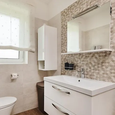 Celtis By 4*
